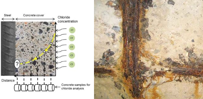 A side-by-side visual showing a diagram of chloride ion concentration testing through a concrete cover to steel reinforcement, next to a photo of heavily corroded steel rebar embedded in concrete.